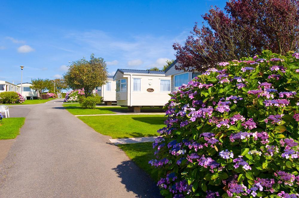 Wooda Farm Holidays Bude Rum bild