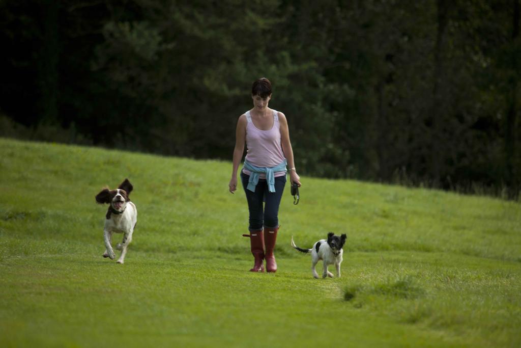 Wooda Farm Holidays Bude Exteriör bild