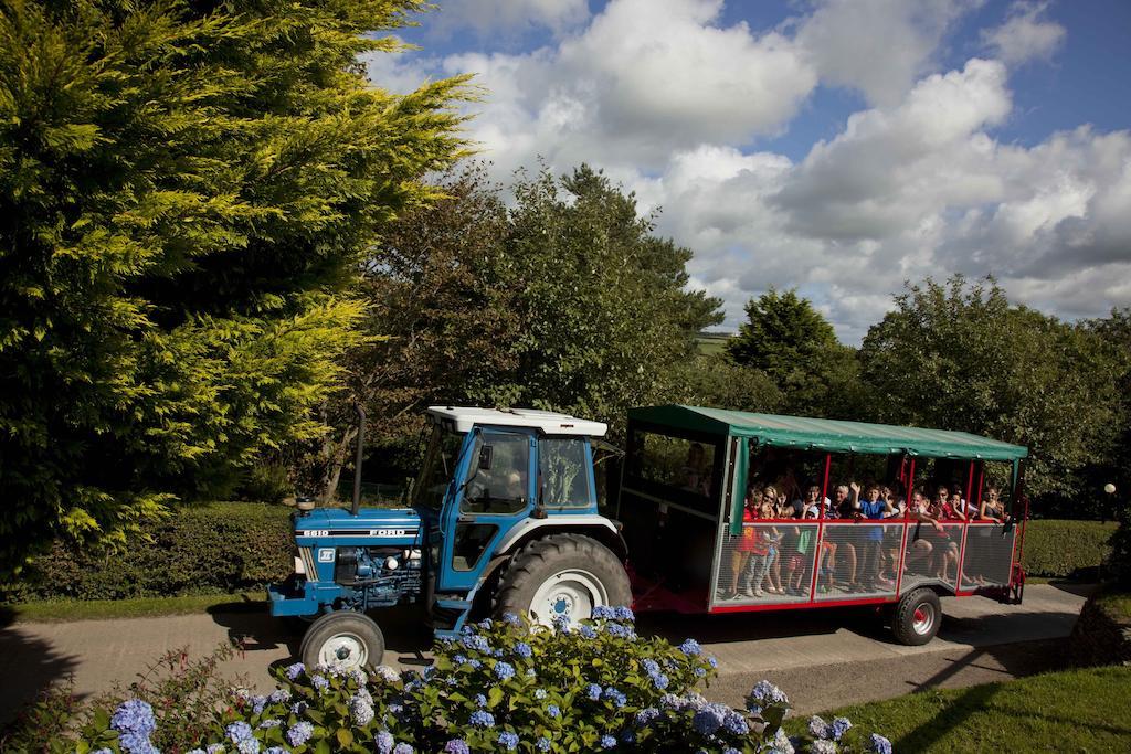 Wooda Farm Holidays Bude Exteriör bild